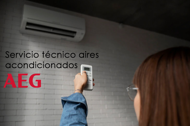 mantenimiento aires acondicionados aeg en madrid